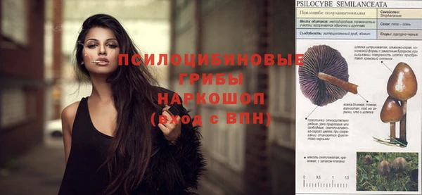 спиды Галич